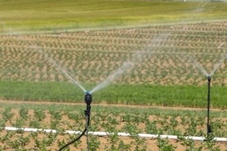 Crise de água na Espanha ameaça abastecimento agrícola da Europa