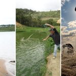Da oração à rede: tradição do pescado conecta rio, mar e tanques e movimenta a economia no ES