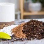 Dependência de fertilizantes pode representar risco ao Brasil