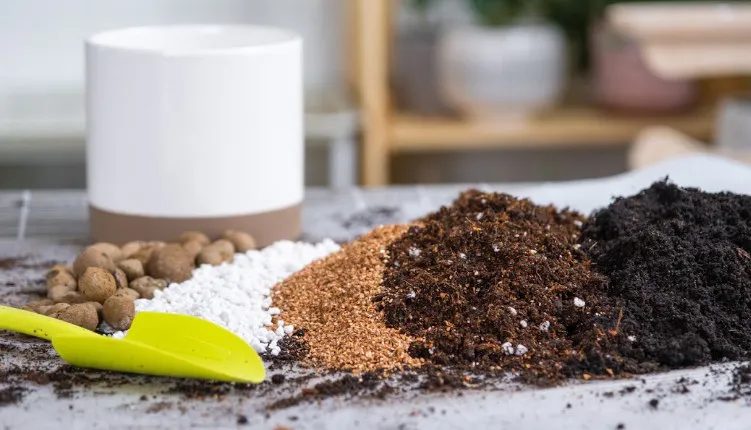 Dependência de fertilizantes pode representar risco ao Brasil