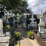 Dia de Finados: veja os horários das missas em Fortaleza e Região Metropolitana
