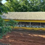 Doença de Newcastle: 6 mil aves são abatidas em granja no Oeste de SC