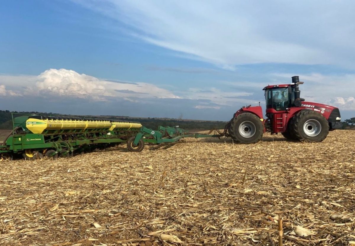 El Niño pode provocar perdas de R$ 33 bilhões na safra de soja do Brasil; entenda os riscos