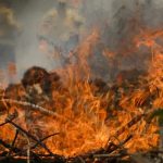 El Niño pode ser um dos mais intensos desde 1950, informa boletim