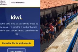 Eleições 2026: Sistema para consultar filas de votação volta no 2º turno no PI
