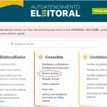 Eleições 2026: veja como consultar número do título de eleitor, zona e seção