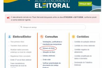 Eleições 2026: veja como consultar número do título de eleitor, zona e seção