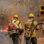 Entenda como está a situação dos incêndios no Amazonas