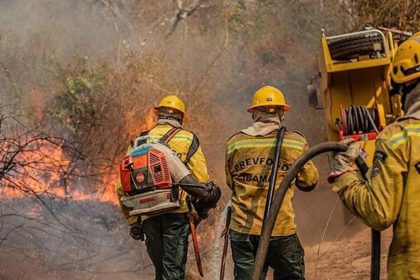 Entenda como está a situação dos incêndios no Amazonas