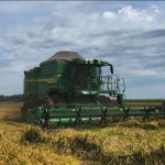 Faturamento das 10 maiores empresas do agro cresce 11% e chega a R$ 1,24 trilhão; veja ranking