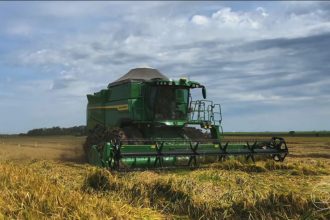Faturamento das 10 maiores empresas do agro cresce 11% e chega a R$ 1,24 trilhão; veja ranking