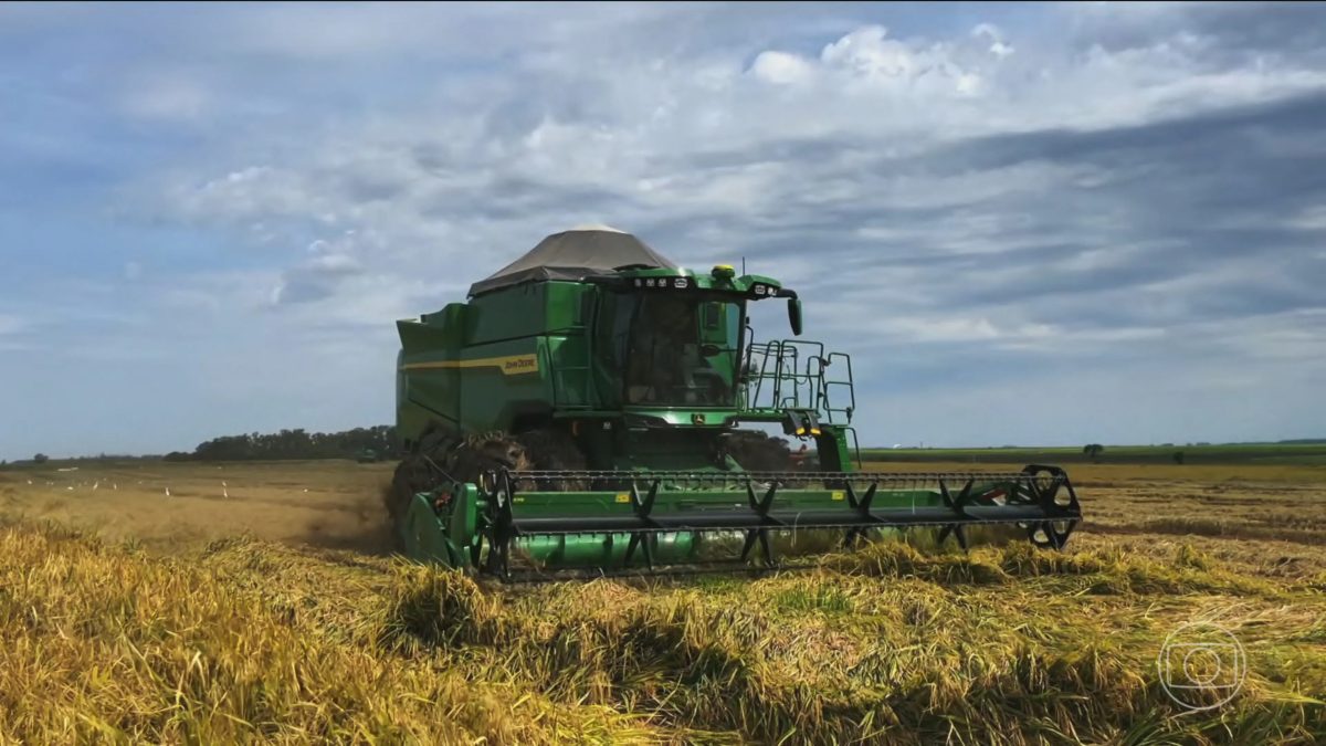 Faturamento das 10 maiores empresas do agro cresce 11% e chega a R$ 1,24 trilhão; veja ranking