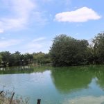 Feira de Santana terá calor de até 38°C e sensação térmica de 41°C nos próximos dias
