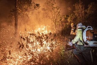 Focos de incêndio no Amazonas crescem 116% em 2026