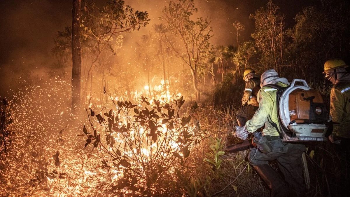 Focos de incêndio no Amazonas crescem 116% em 2026