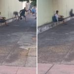 Homem é preso após agredir o outro com bengala em Ribeirão Preto, SP; vítima está em estado grave