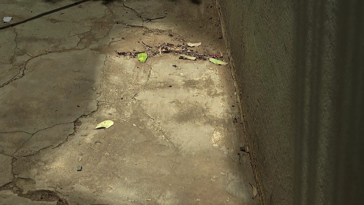 Imagem misteriosa em calçada atrai fiéis e intriga moradores no interior de SP; o que você vê?