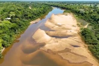 Imagens aéreas mostram seca em rio da maior ilha fluvial do mundo, no TO; assista