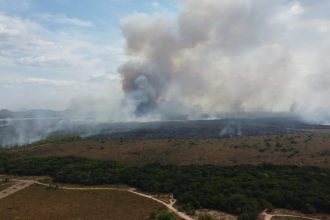 Incêndio atinge área de lavrado em Boa Vista