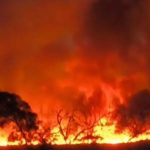 Incêndio atinge reserva ambiental na Bahia e moradores denunciam morte de animais