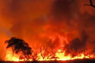 Incêndio atinge reserva ambiental na Bahia e moradores denunciam morte de animais