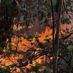 Incêndios florestais avançam há mais de duas semanas em Itacoatiara, destroem plantações e ameaçam casas
