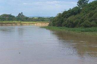 Inteligência artificial e qualidade da água: como tecnologia ajuda a monitorar rios no interior de SP