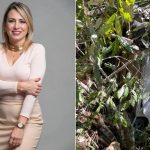 Juíza pede para ouvir vice-prefeita morta em acidente em processo sobre servidora fantasma