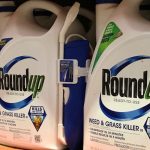 Júri dos EUA decide a favor da Bayer em ação sobre câncer ligado a agrotóxico