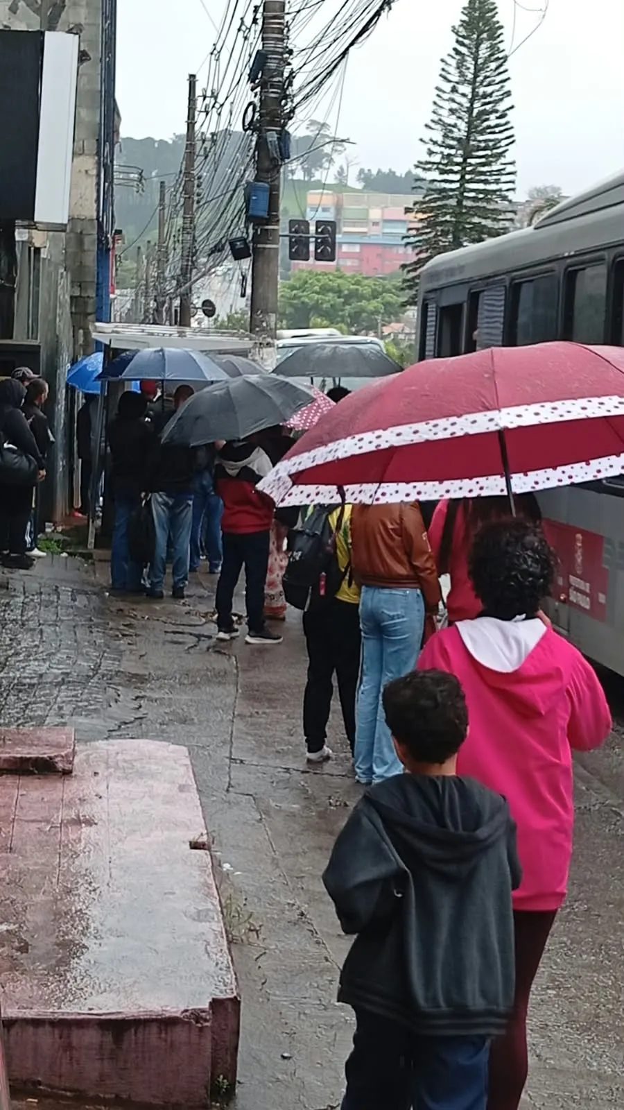 Levantamento aponta que 71% da frota de ônibus circula pela cidade de SP neste domingo, abaixo dos 100% determinados pela Justiça