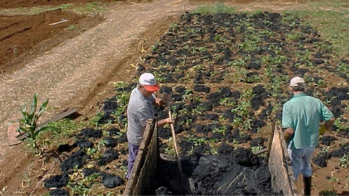 Lodo de tratamento de água vira fertilizante de liberação lenta