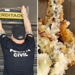 Loja que vendeu bolo com rato seguiu aberta por 15 dias após cliente comer alimento contaminado