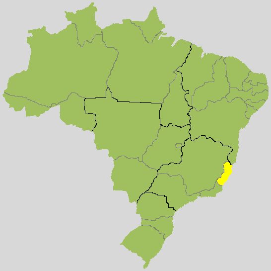 Lorenzo Pazolini x Ricardo Ferraço: acompanhe o 2º turno para governador no Espírito Santo