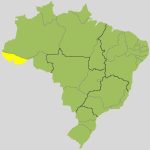 Mailza Assis x Alan Rick: acompanhe o 2º turno para governador no Acre