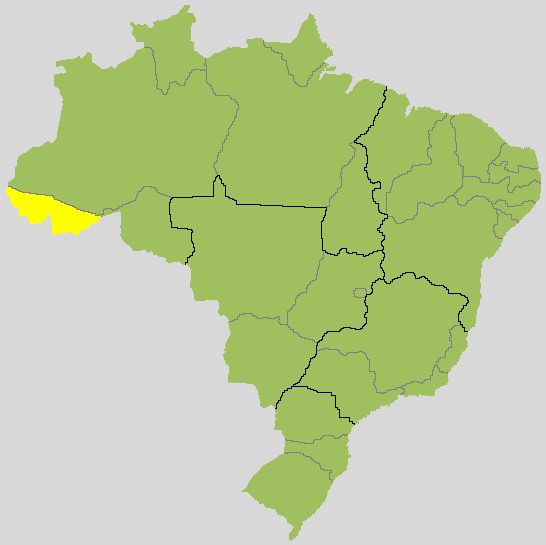Mailza Assis x Alan Rick: acompanhe o 2º turno para governador no Acre