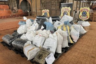 Mais de 1,5 tonelada de drogas é incinerada no Acre