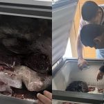 Mais de 360 kg de carne estragada são apreendidos em escolas no interior do Acre