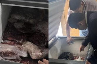 Mais de 360 kg de carne estragada são apreendidos em escolas no interior do Acre