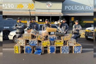 Mais de meia tonelada de maconha é apreendida em rodovia após motorista de carro desobedecer policiais