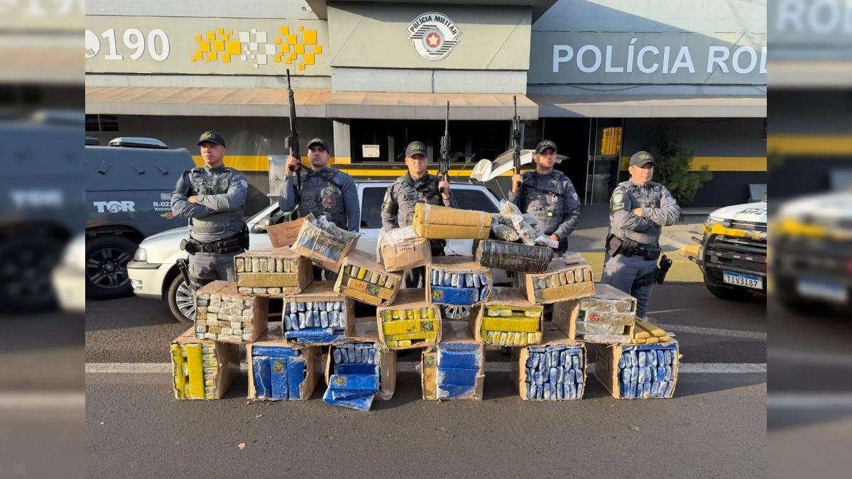 Mais de meia tonelada de maconha é apreendida em rodovia após motorista de carro desobedecer policiais
