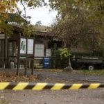Menina de 8 anos é atacada por lobo em zoológico na Alemanha