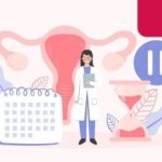 Menopausa não é precipício