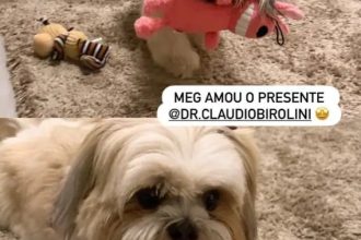 Michelle Bolsonaro posta foto em que aparece Jair Bolsonaro de tornozeleira