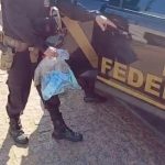 Ministério da Justiça registra 58 casos de possíveis crimes eleitorais neste domingo