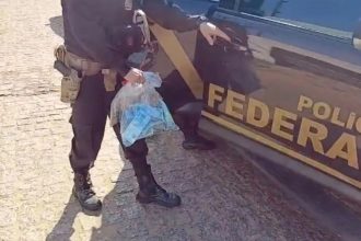 Ministério da Justiça registra 58 casos de possíveis crimes eleitorais neste domingo