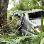 Motorista morre após carro bater em árvore na RJ-145, em Piraí