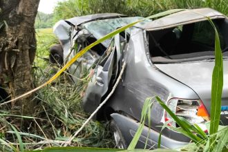 Motorista morre após carro bater em árvore na RJ-145, em Piraí