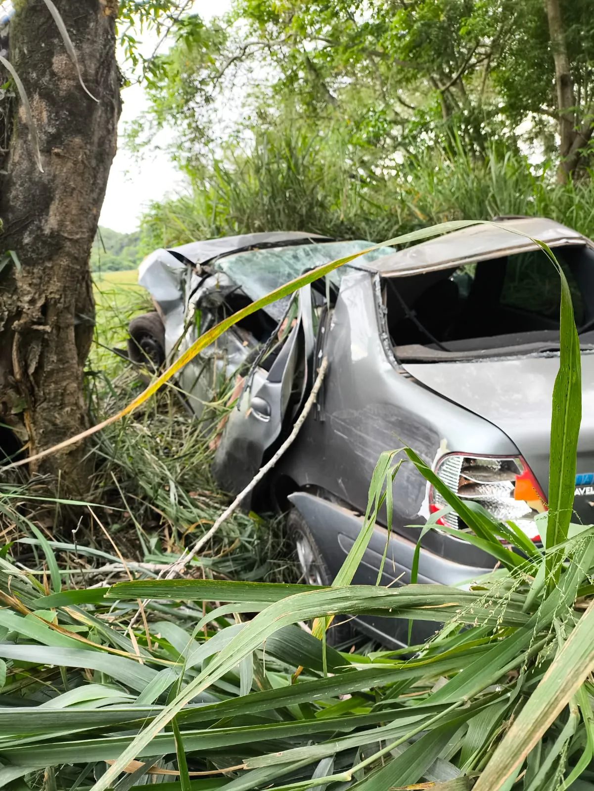 Motorista morre após carro bater em árvore na RJ-145, em Piraí