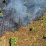 ‘Mudanças climáticas’ ou ‘mudança climática’? Por que a diferença entre singular e plural faz diferença