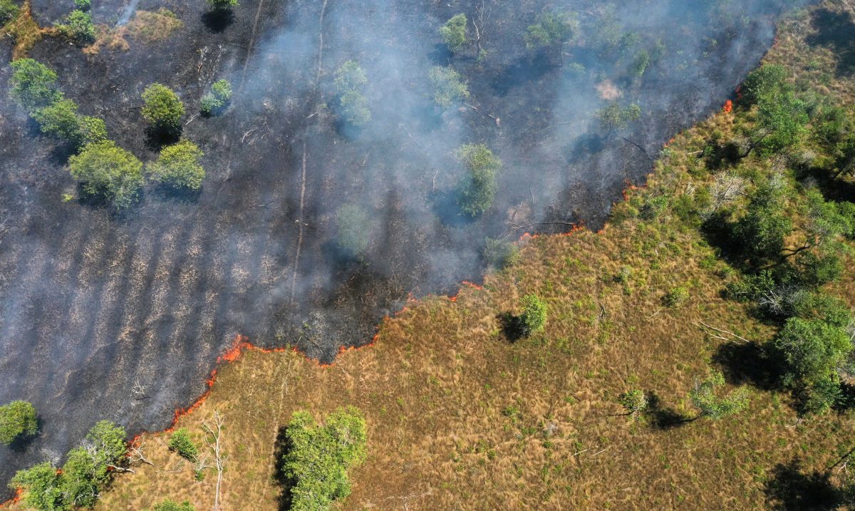 ‘Mudanças climáticas’ ou ‘mudança climática’? Por que a diferença entre singular e plural faz diferença